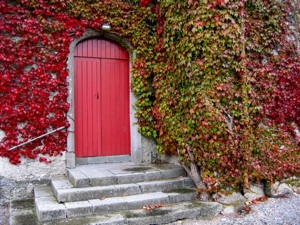 Red Door