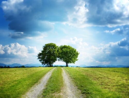 What Is Duality And How To Make It Work For You